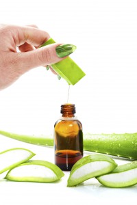 Aloe Vera 1
