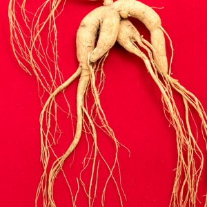 Ginseng